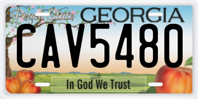 GA license plate CAV5480