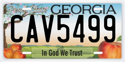 GA license plate CAV5499