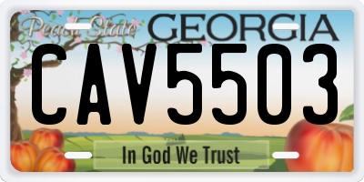GA license plate CAV5503