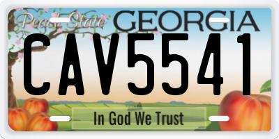 GA license plate CAV5541