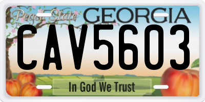 GA license plate CAV5603