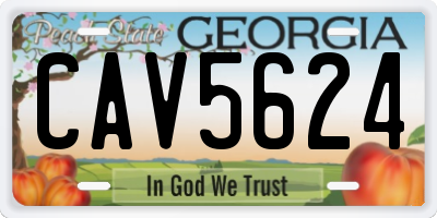 GA license plate CAV5624