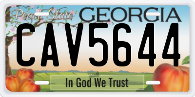 GA license plate CAV5644