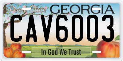 GA license plate CAV6003