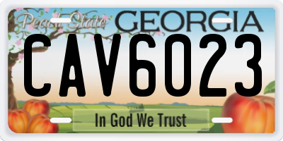 GA license plate CAV6023