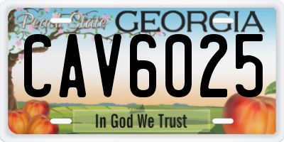 GA license plate CAV6025
