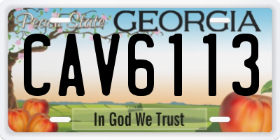 GA license plate CAV6113