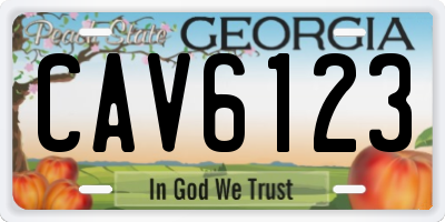 GA license plate CAV6123