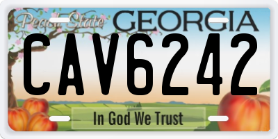 GA license plate CAV6242