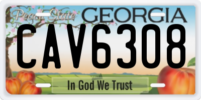 GA license plate CAV6308