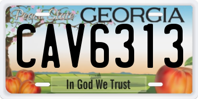 GA license plate CAV6313