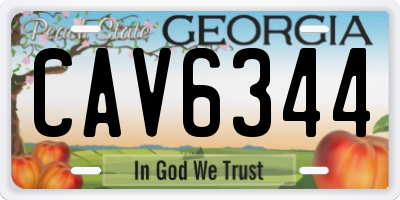 GA license plate CAV6344