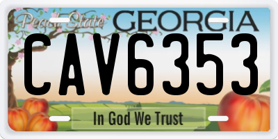 GA license plate CAV6353