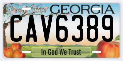 GA license plate CAV6389