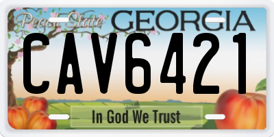 GA license plate CAV6421
