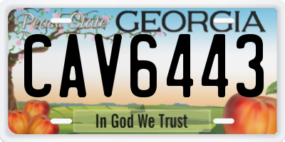 GA license plate CAV6443