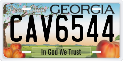 GA license plate CAV6544