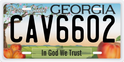 GA license plate CAV6602