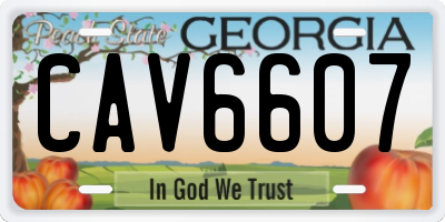GA license plate CAV6607