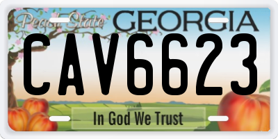 GA license plate CAV6623