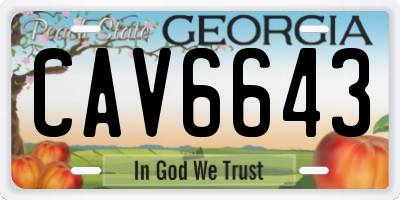 GA license plate CAV6643