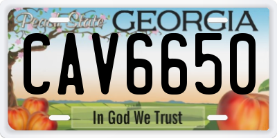 GA license plate CAV6650