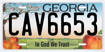 GA license plate CAV6653