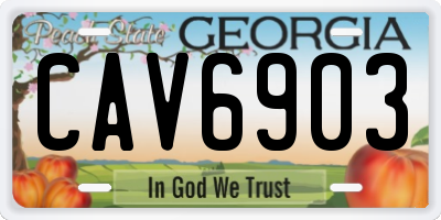 GA license plate CAV6903