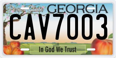 GA license plate CAV7003