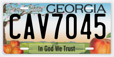 GA license plate CAV7045