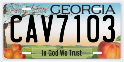 GA license plate CAV7103
