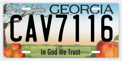 GA license plate CAV7116