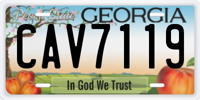 GA license plate CAV7119