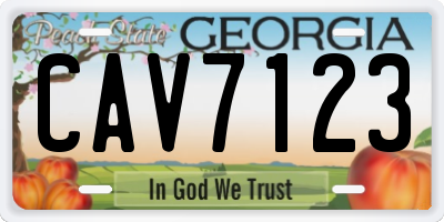 GA license plate CAV7123