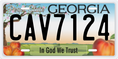 GA license plate CAV7124