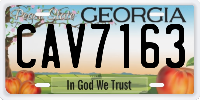GA license plate CAV7163
