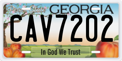 GA license plate CAV7202