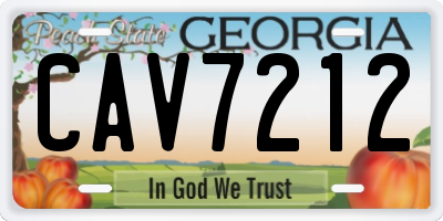 GA license plate CAV7212