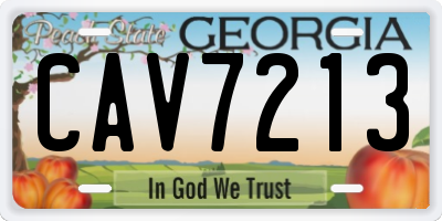 GA license plate CAV7213