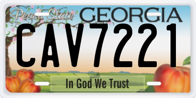 GA license plate CAV7221