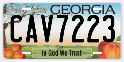 GA license plate CAV7223