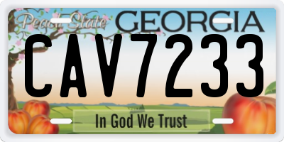 GA license plate CAV7233