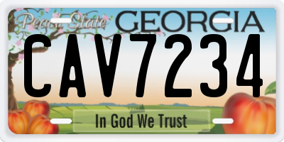 GA license plate CAV7234