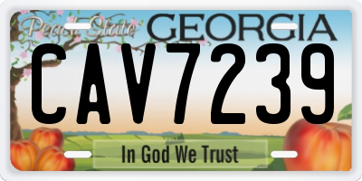 GA license plate CAV7239