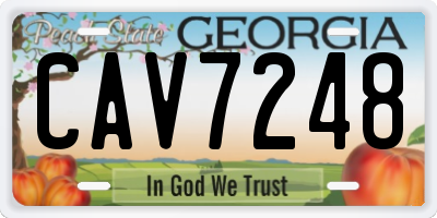 GA license plate CAV7248