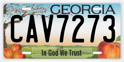 GA license plate CAV7273