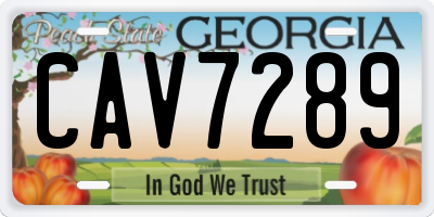 GA license plate CAV7289