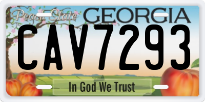 GA license plate CAV7293