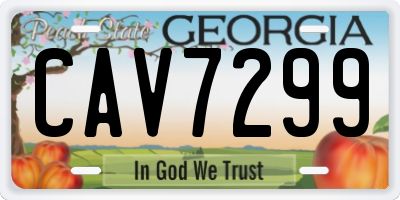 GA license plate CAV7299