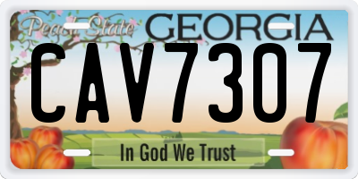 GA license plate CAV7307